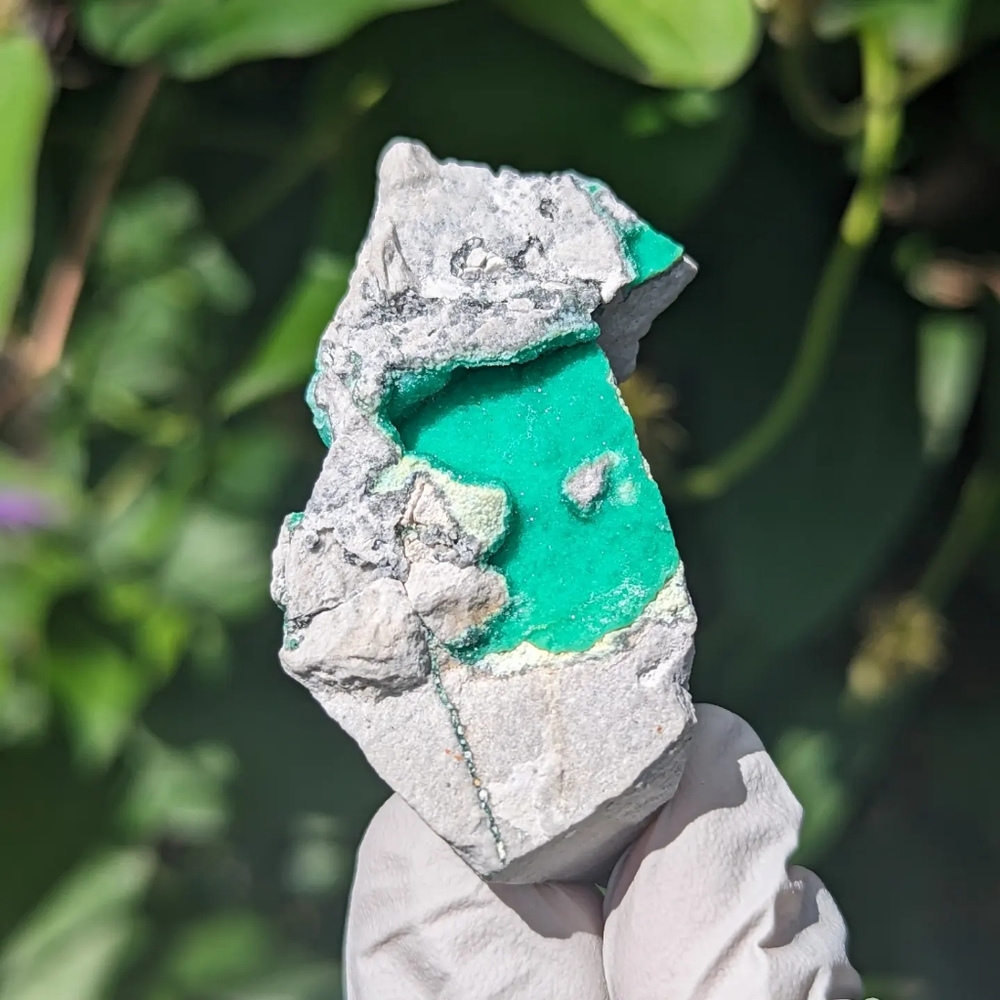 IG@quartzblazer druzy Variscite specimen old stock